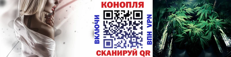 Конопля VHQ  Афипский 